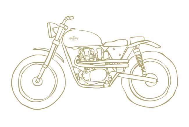 projetw650-gold projetw650-gold