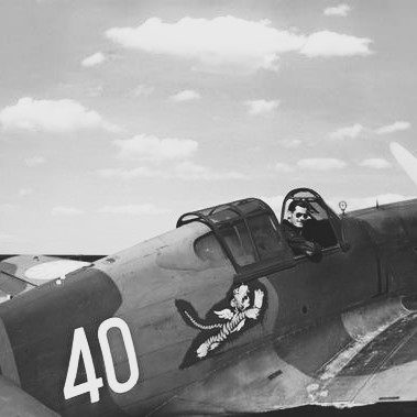 Flying Tiger Plane
